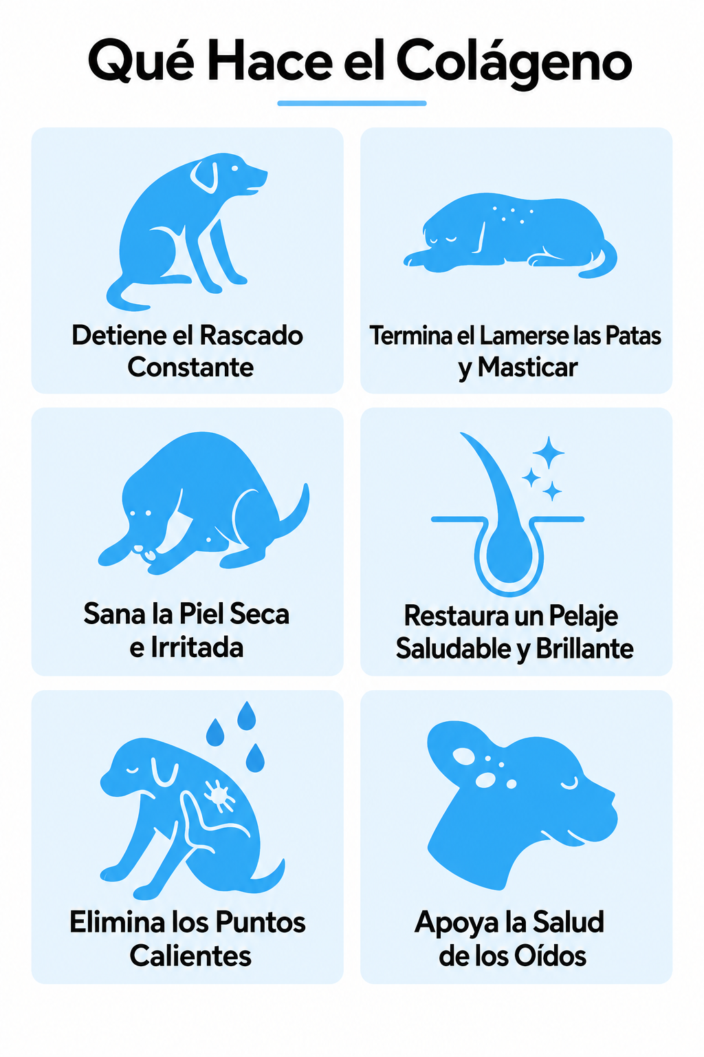 NaturCanLab Colageno Liquido