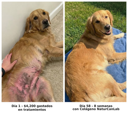 NaturCanLab Colageno Liquido